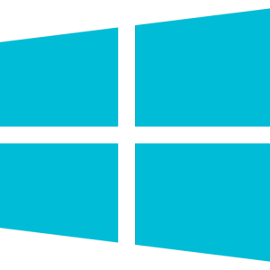 Windows Icon